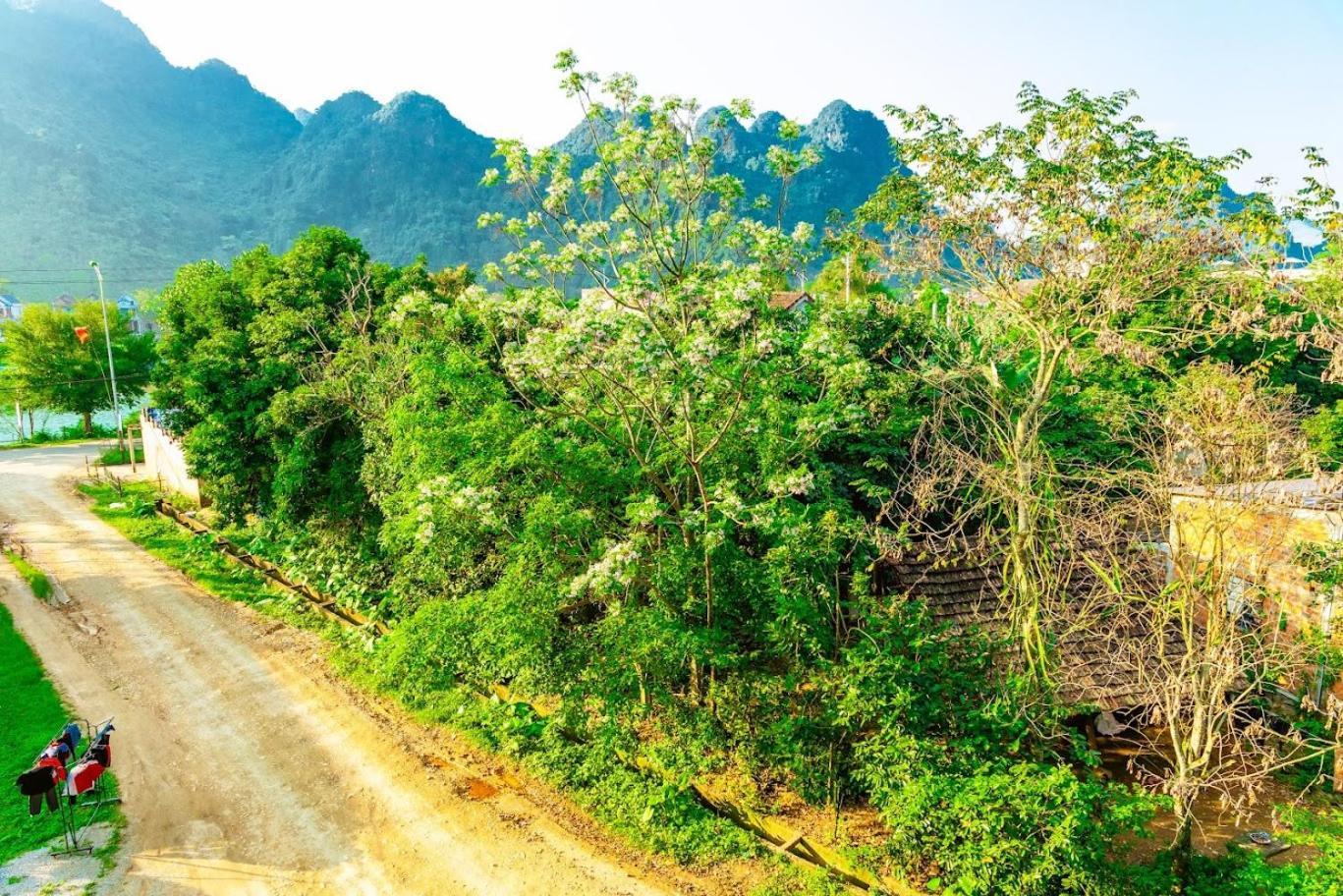 Phong Nha Cherish Houseアパートメント エクステリア 写真